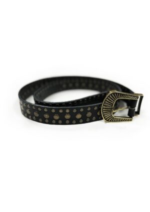 belt-corrective-service-black-leduc-2